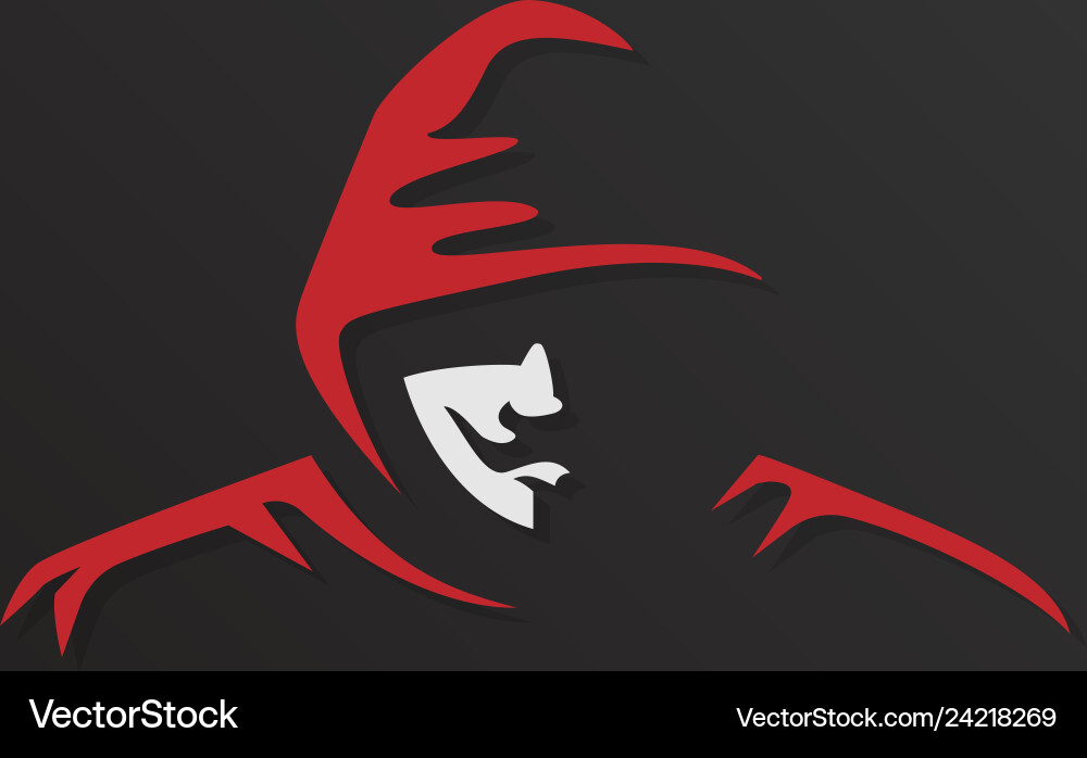 Digital Hacker Icon vector image