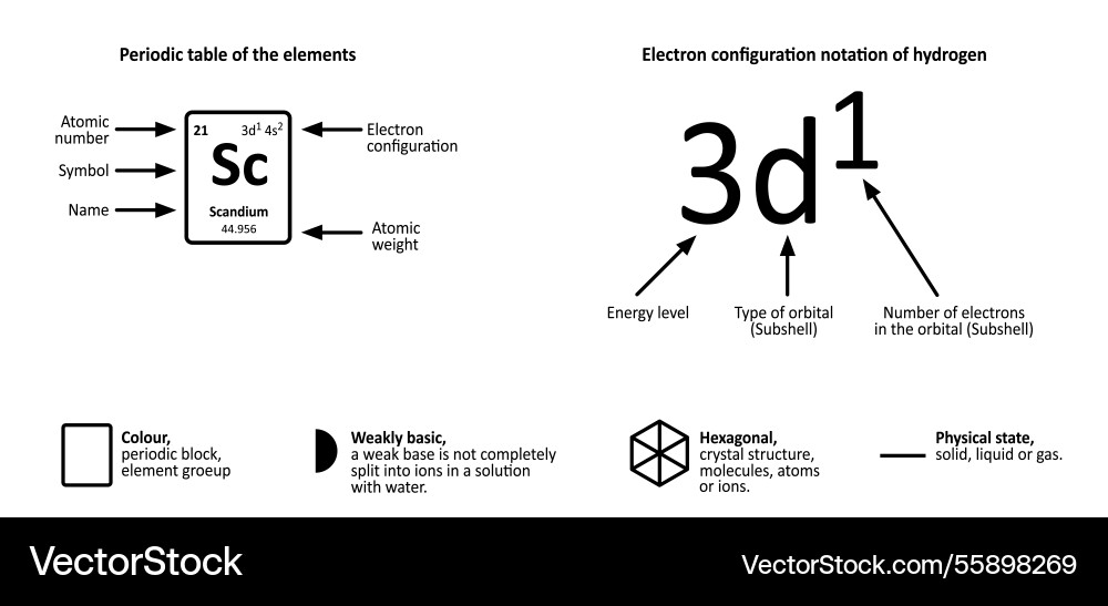 Explanation periodic table of elements Vector Image
