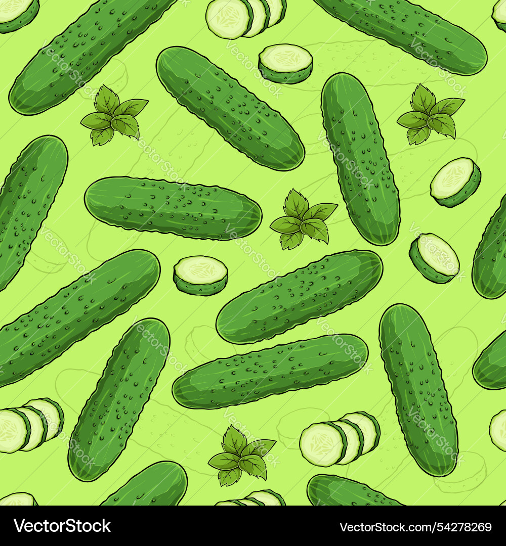 Seamless pattern of fresh full and sliced cucumber vector image