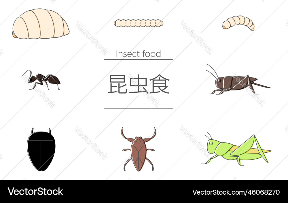 A set of insects that can be eaten by insect food Vector Image