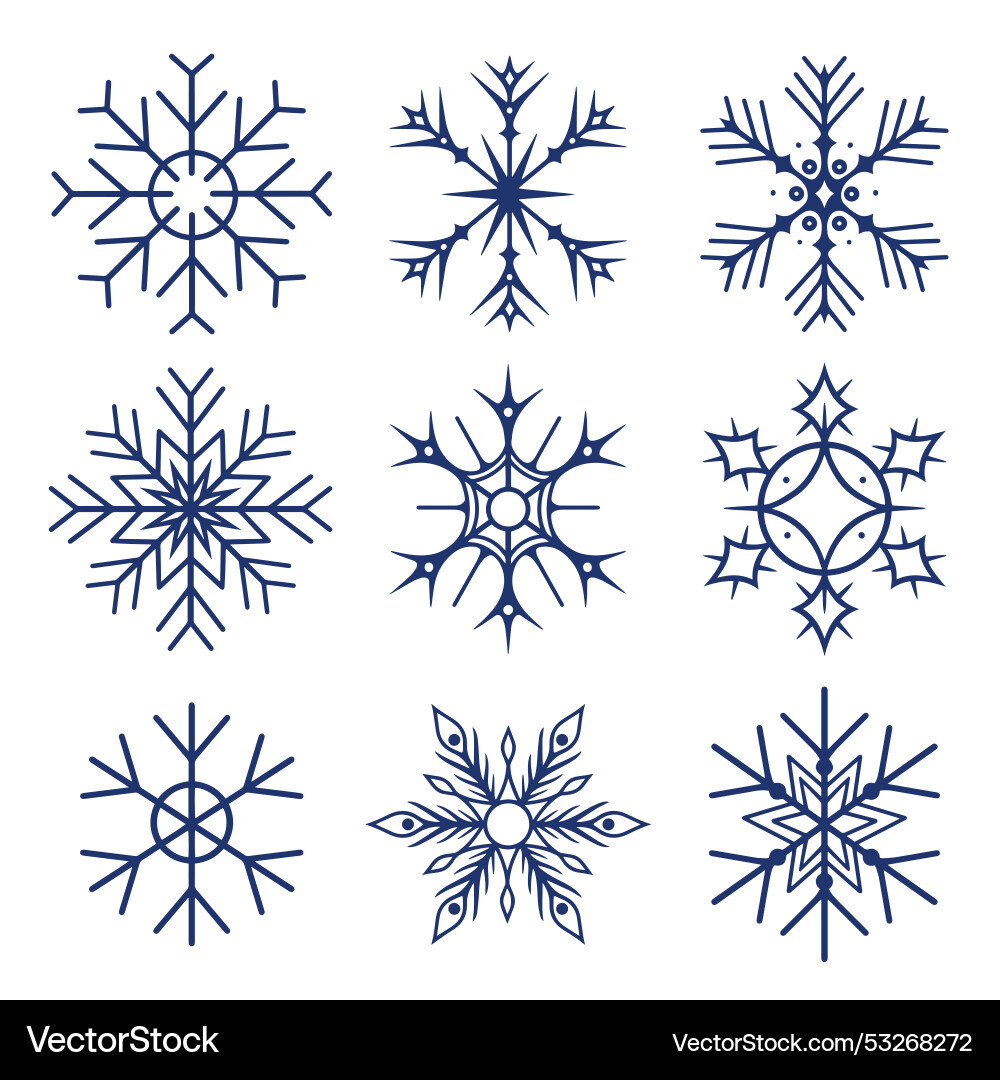 Monochrome Snowflake Set Vector Image