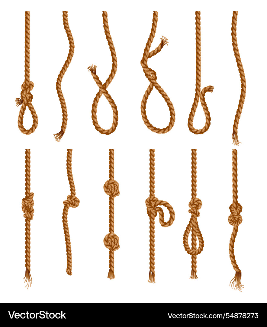 Set of hanging ropes with tassel and node knitted Set of hanging ropes with tassel and node knitted vector image