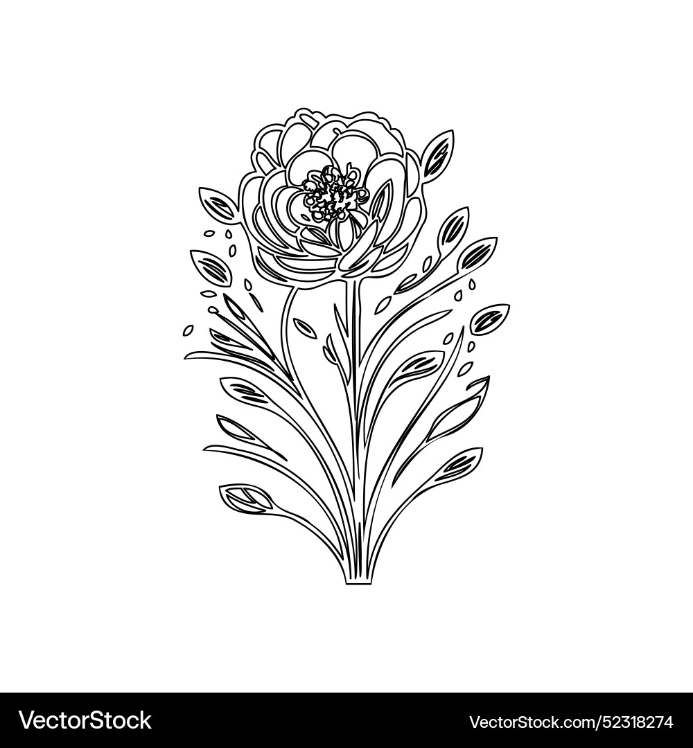 Bouquet flower outline sketch Bouquet flower outline sketch vector image