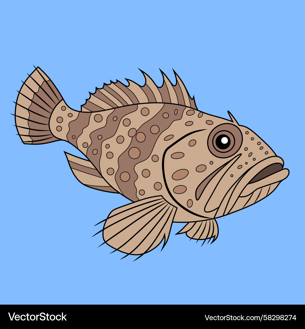 Stonefish Vector Images & Graphics for Commercial Use | VectorStock