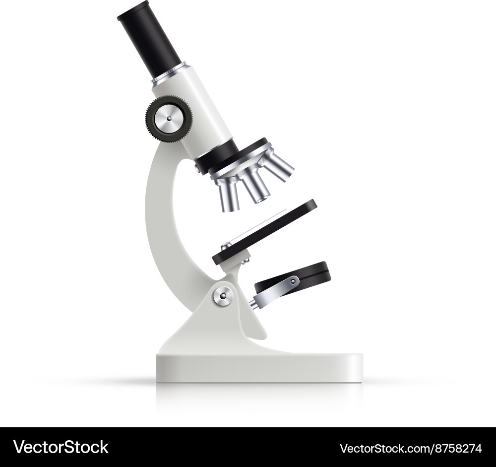 Realistic Microscope Image vector image