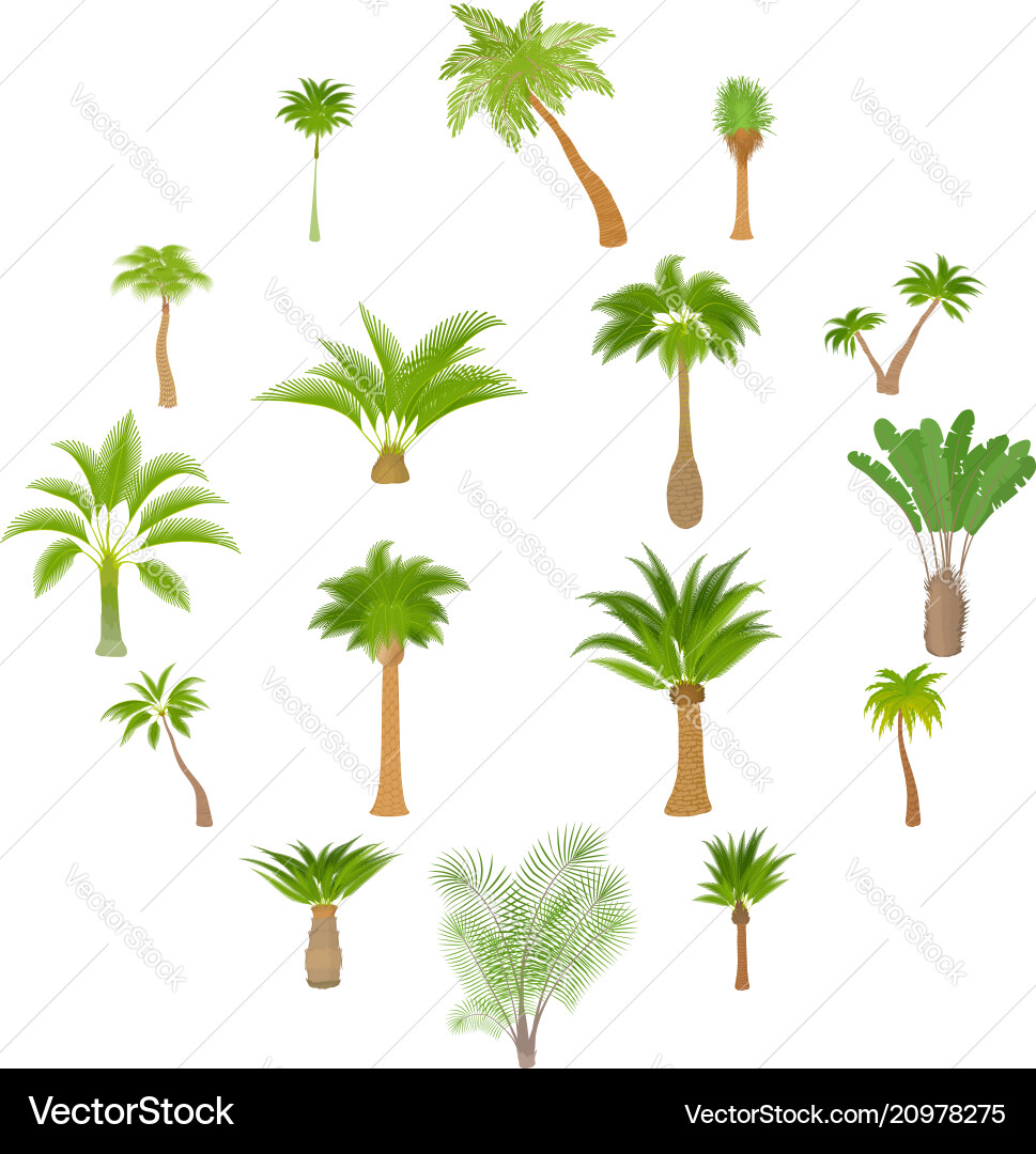Different palm trees icons set cartoon style Different palm trees icons set cartoon style vector image