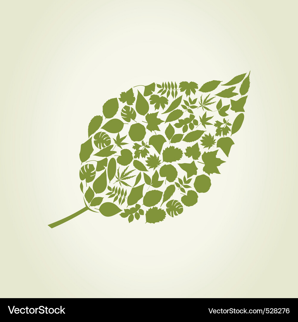 Leaf Pattern Vector Image
