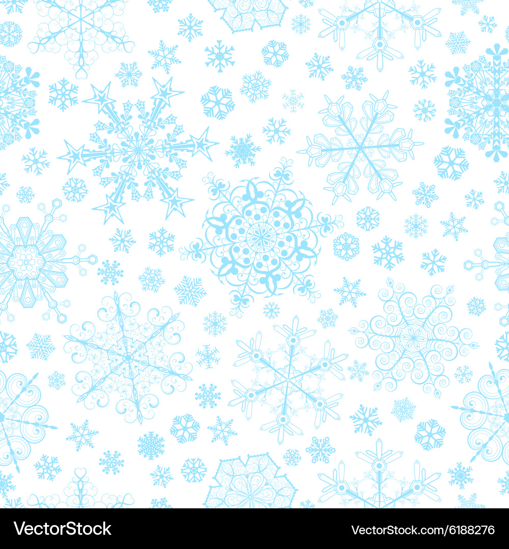 Winter Snowflake Pattern vector image