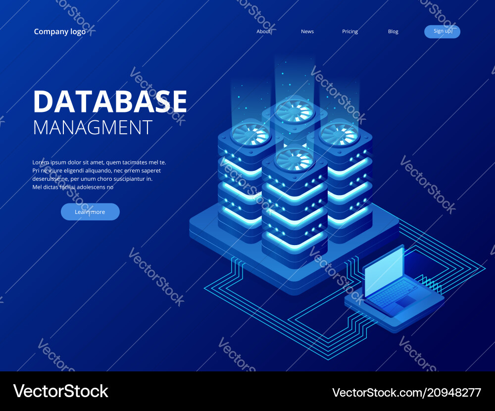 Database Network Management Big Data vector image