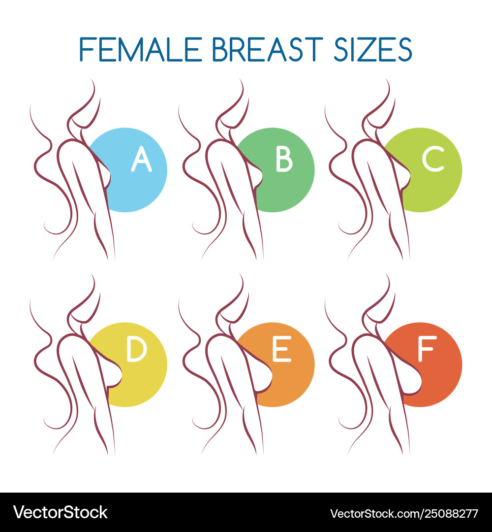 breast size scale