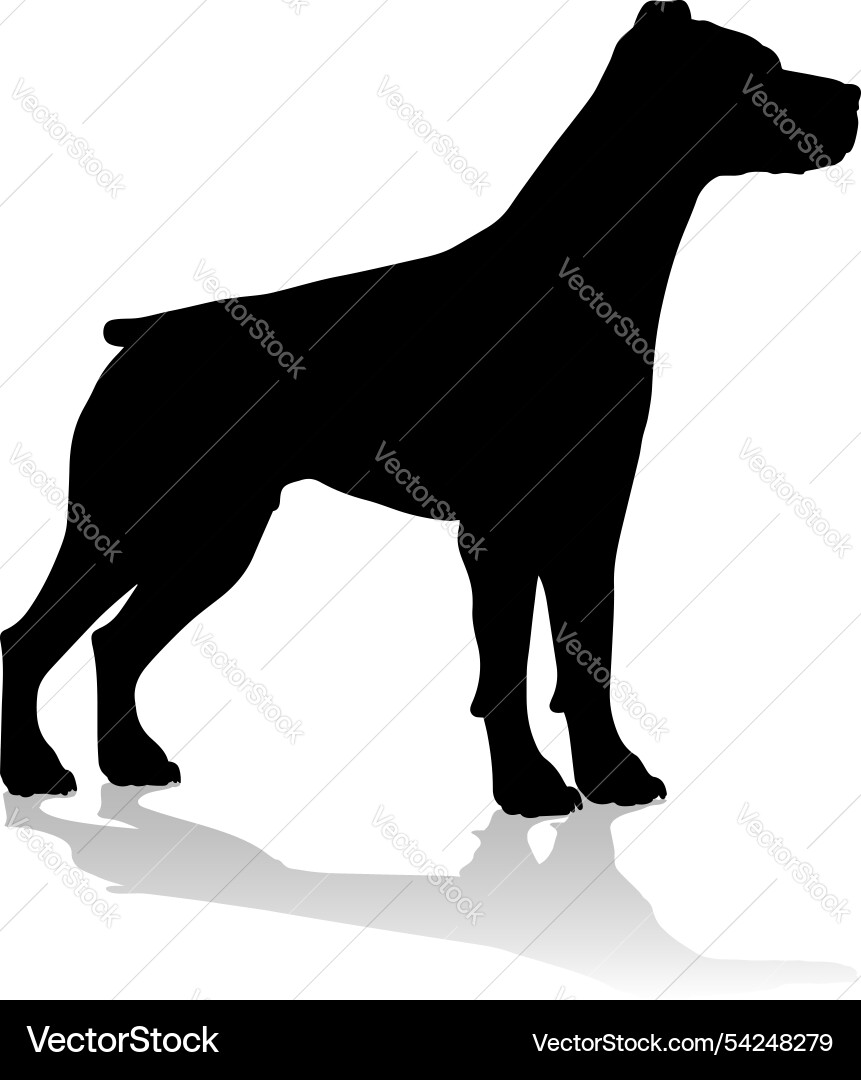 Hundesilhouette Haustier Hundesilhouette Haustier vektorbild