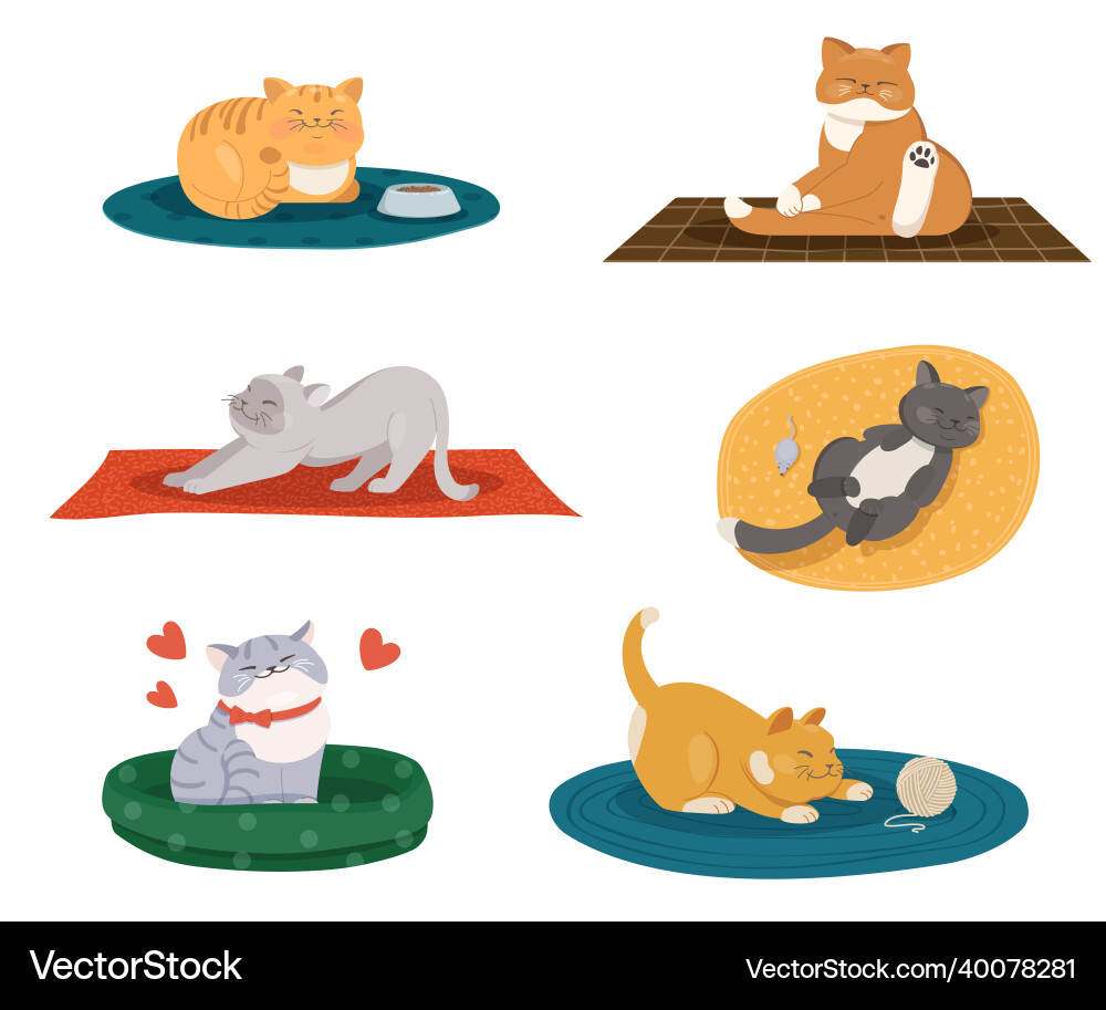Adorable Cats on Mats Vector Image