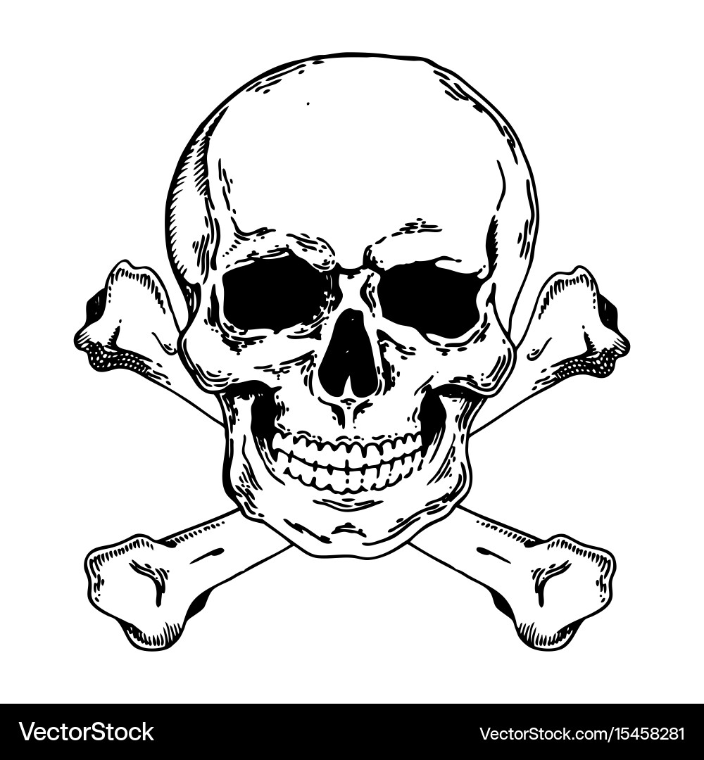 Skull and Crossbones Jolly Roger Vector Image