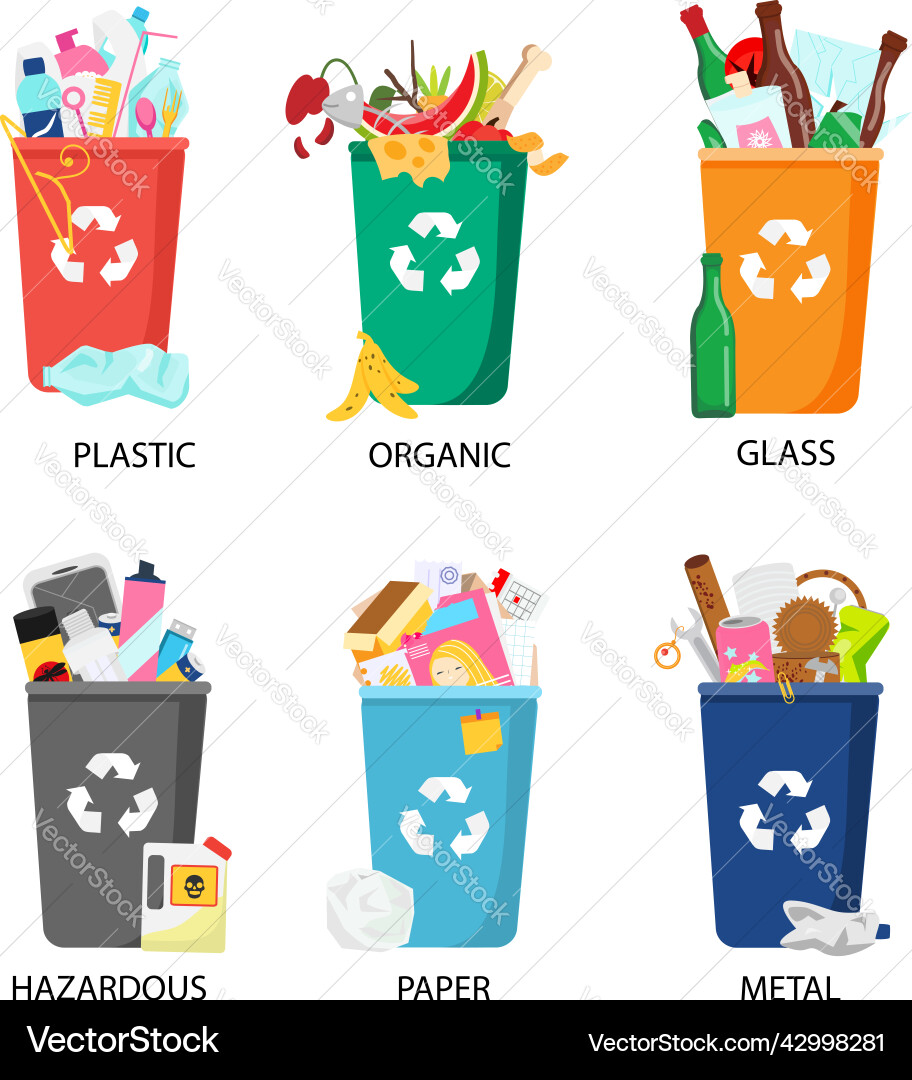 Waste Sorting - Diverse Garbage Types vector image