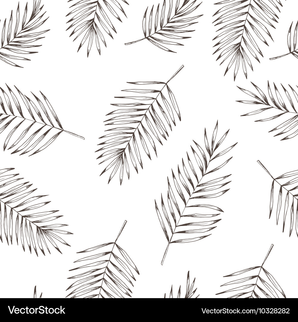 Tropical Palm Leaf Pattern Vector Image