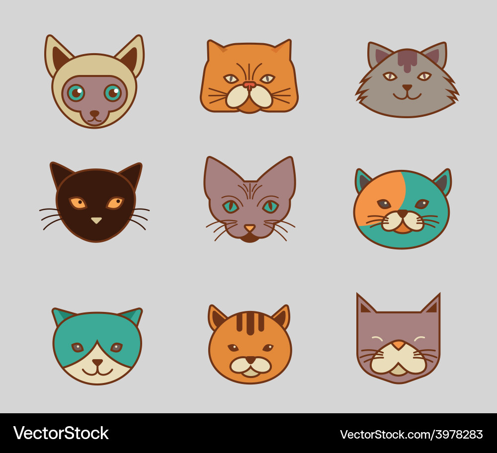 Collection of cat line and color icons vector image