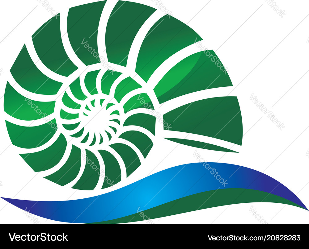 Elegant Seashell Spiral Royalty Free Vector Image