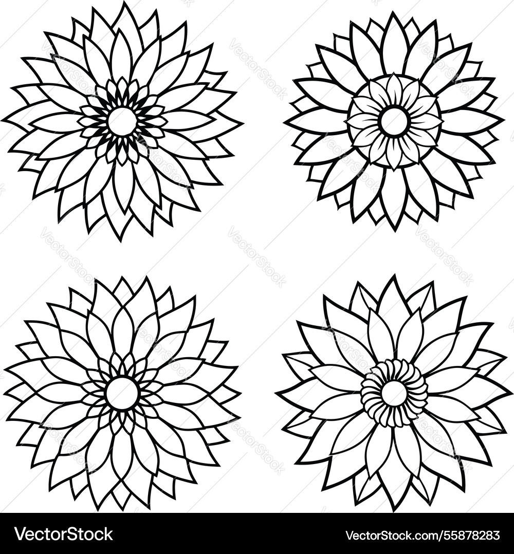 Set of flower coloring page floral patterns Vector Image