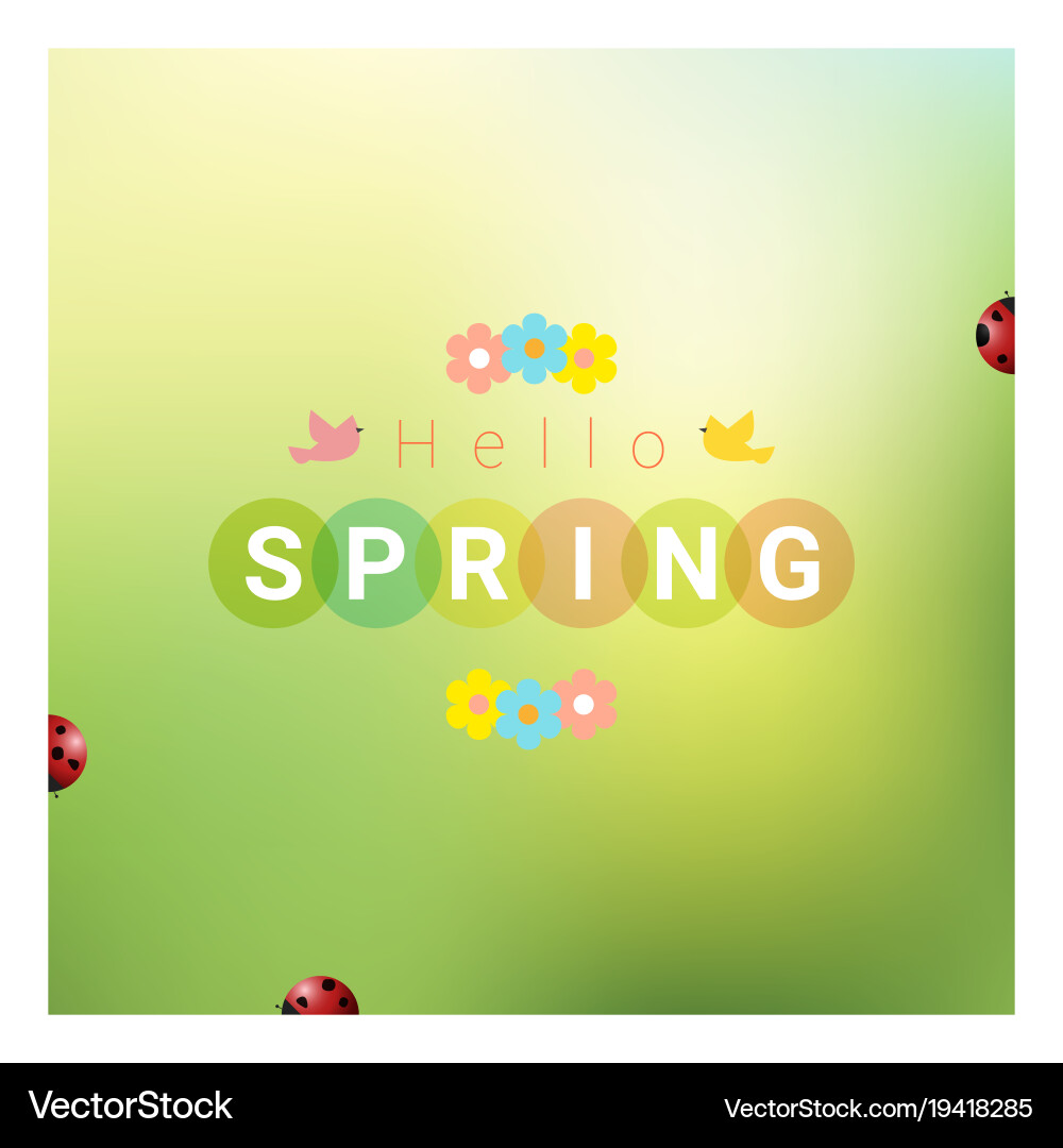 Hello spring background with colorful ladybugs vector image