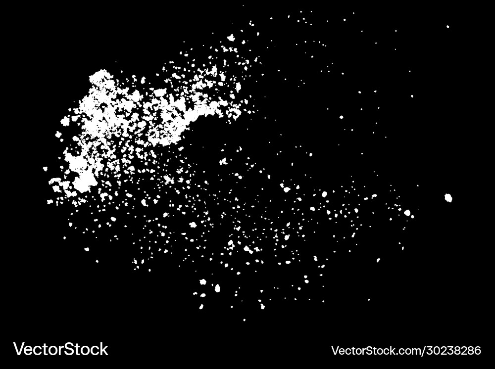 White Splashes on Black vector image