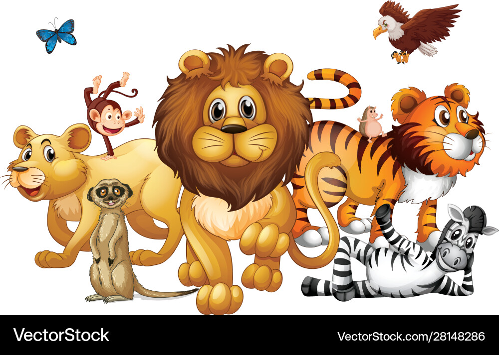 Wild animals on white background Wild animals on white background vector image