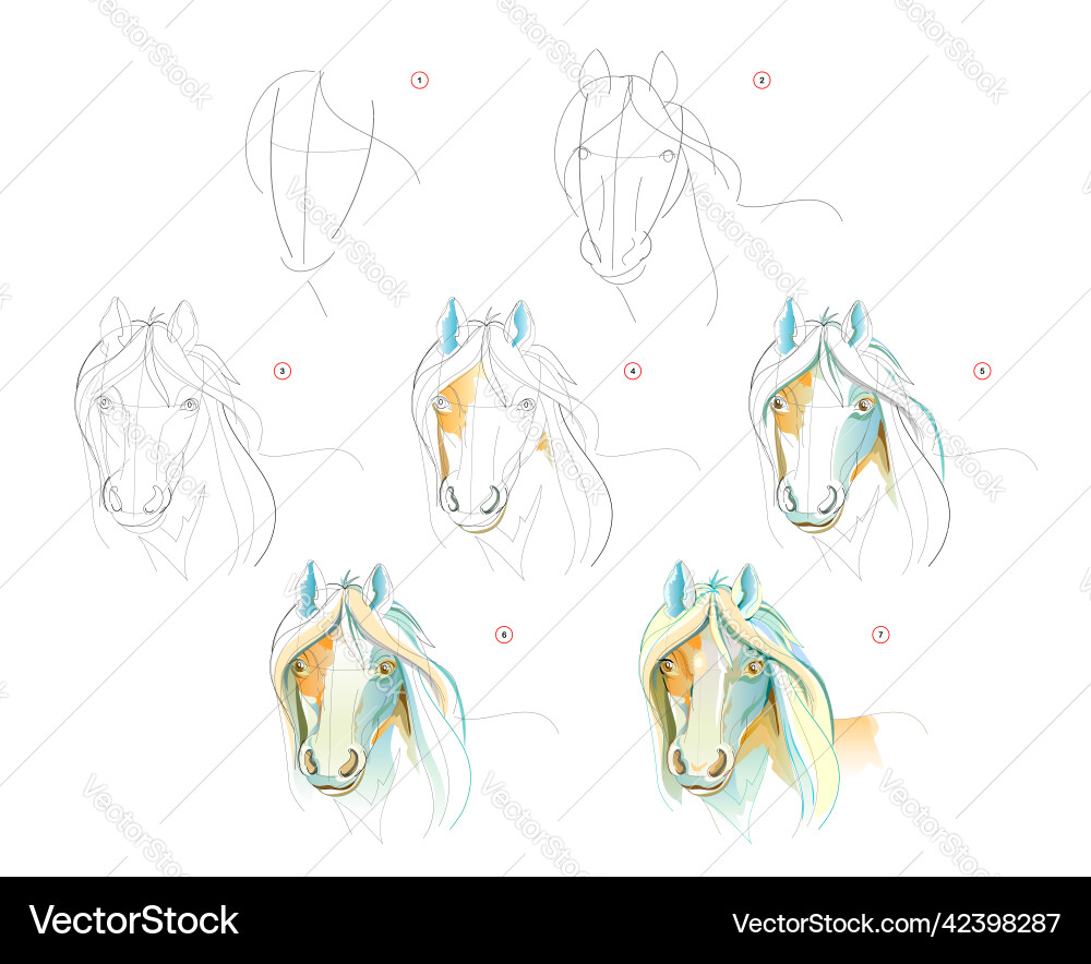 How to learn draw sketch of horse head How to learn draw sketch of horse head vector image