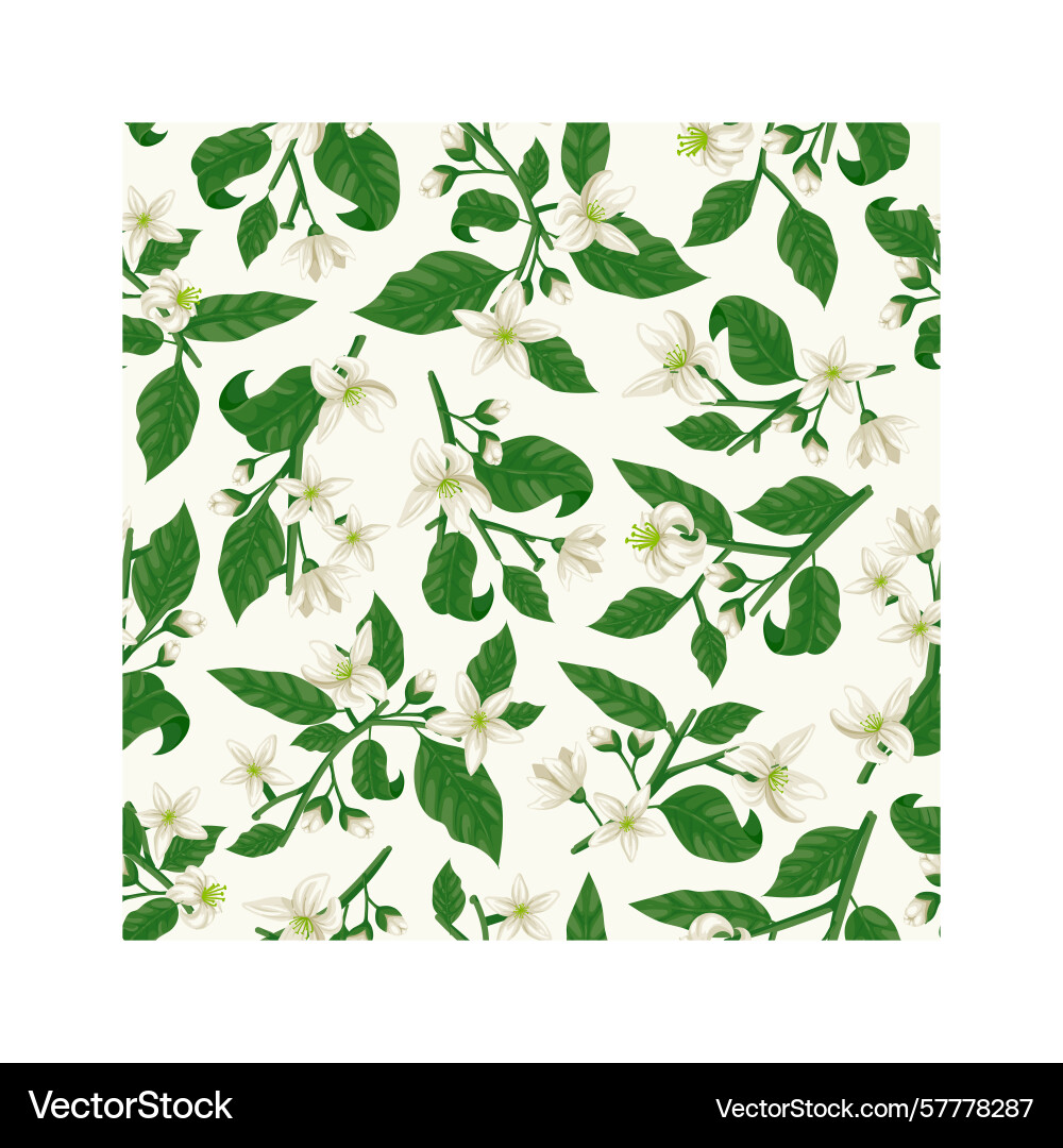 Seamless pattern featuring orange tree branches Seamless pattern featuring orange tree branches vector image