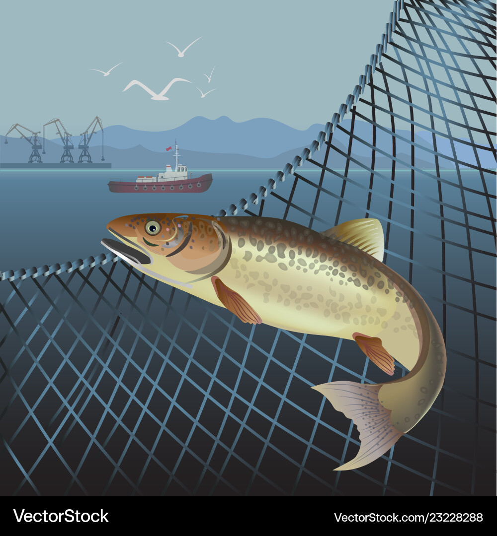 Fish Jumping from Net vector image
