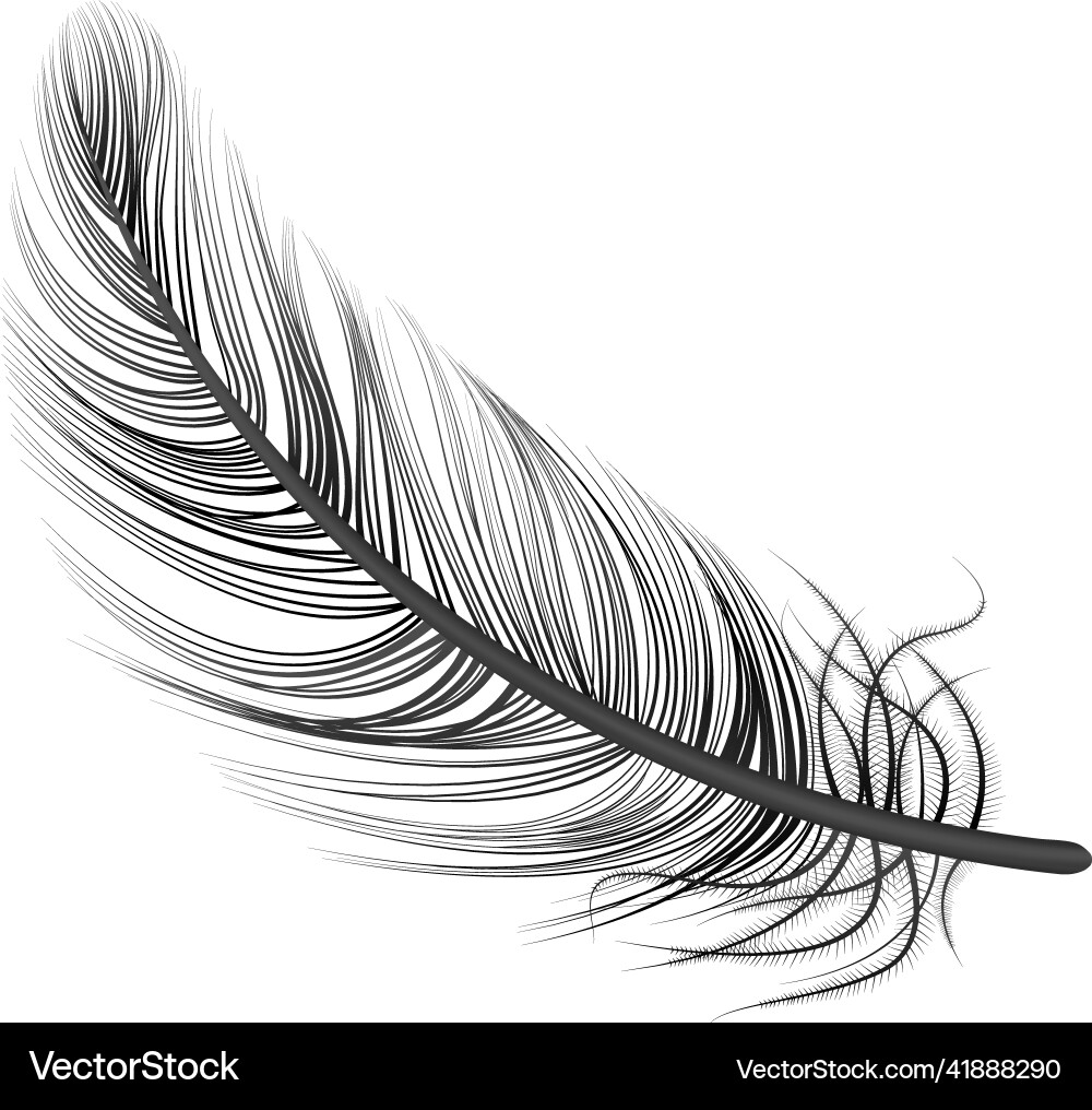 Black feather realistic composition Royalty Free Vector