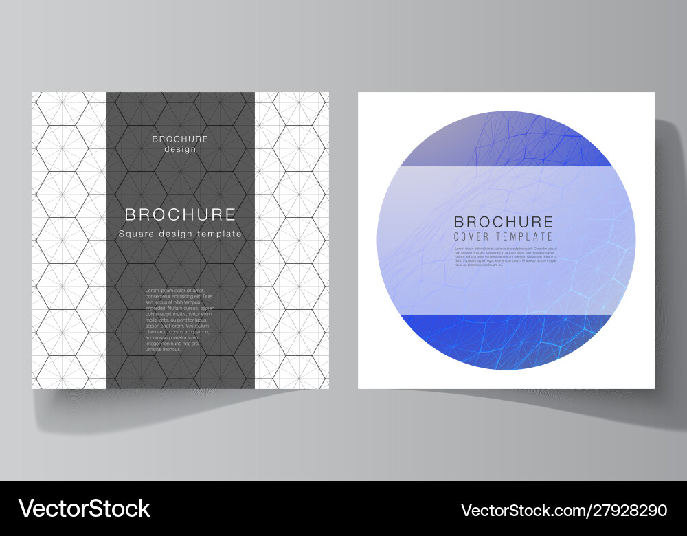 Layout two square format covers design Vector Image