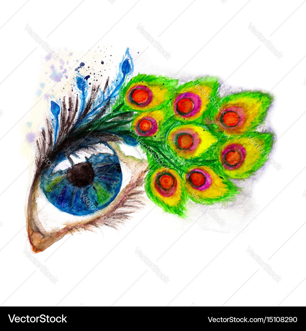 Peacock Eyelashes Macro Eye – Royalty-Free Vector | VectorStock, image size:1000x1080