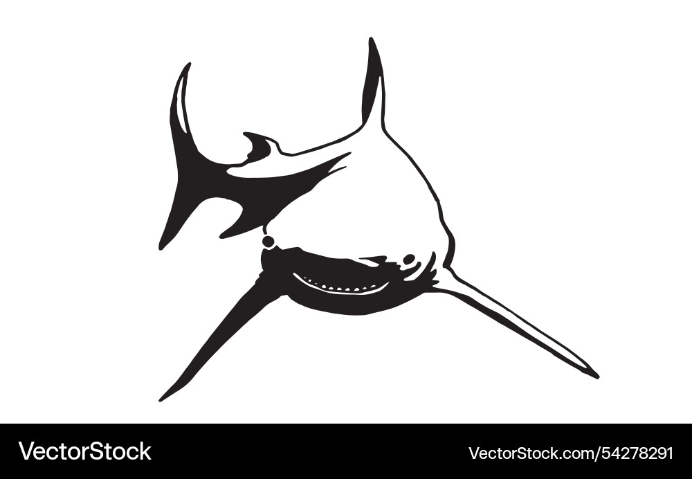 Graphical white shark isolated on background vector image