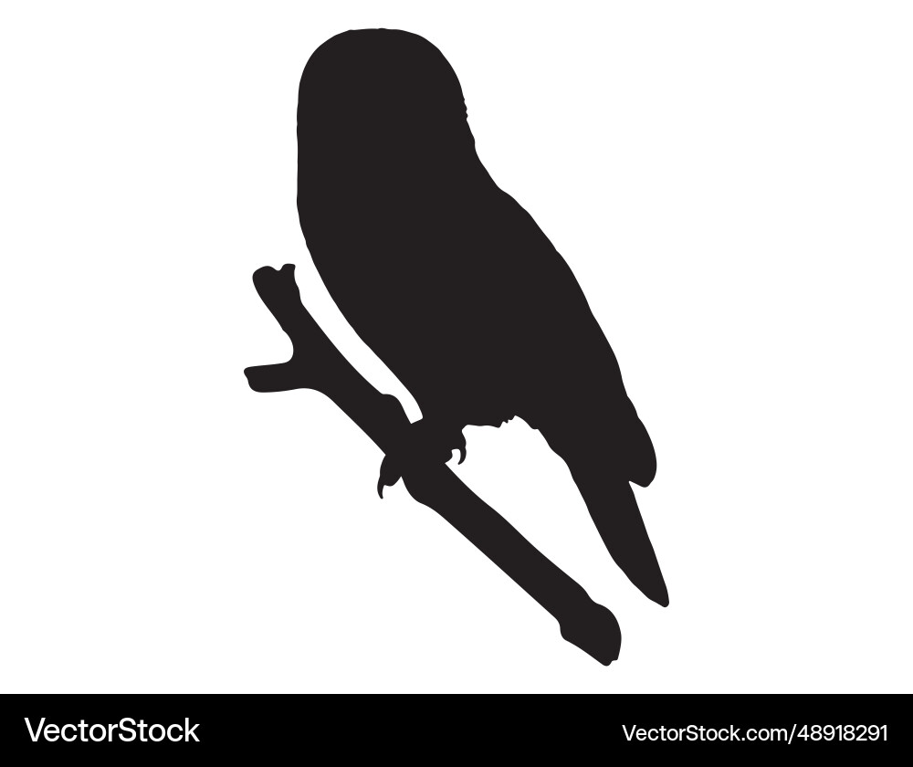 Owl silhouette art vector image