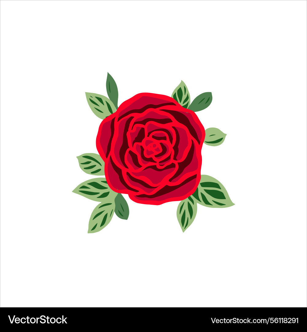 Simple red rose on white background Simple red rose on white background vector image