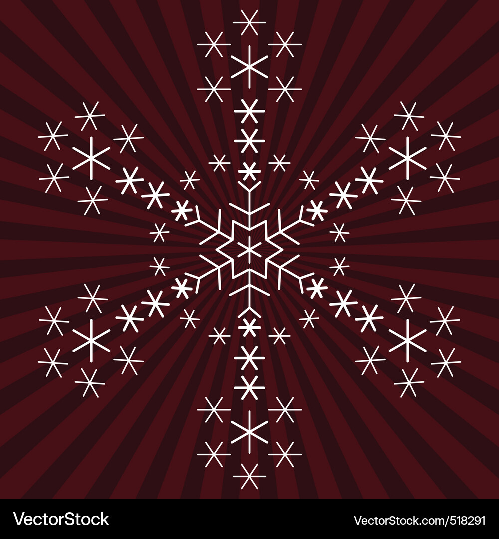 Snowflake Vector Image