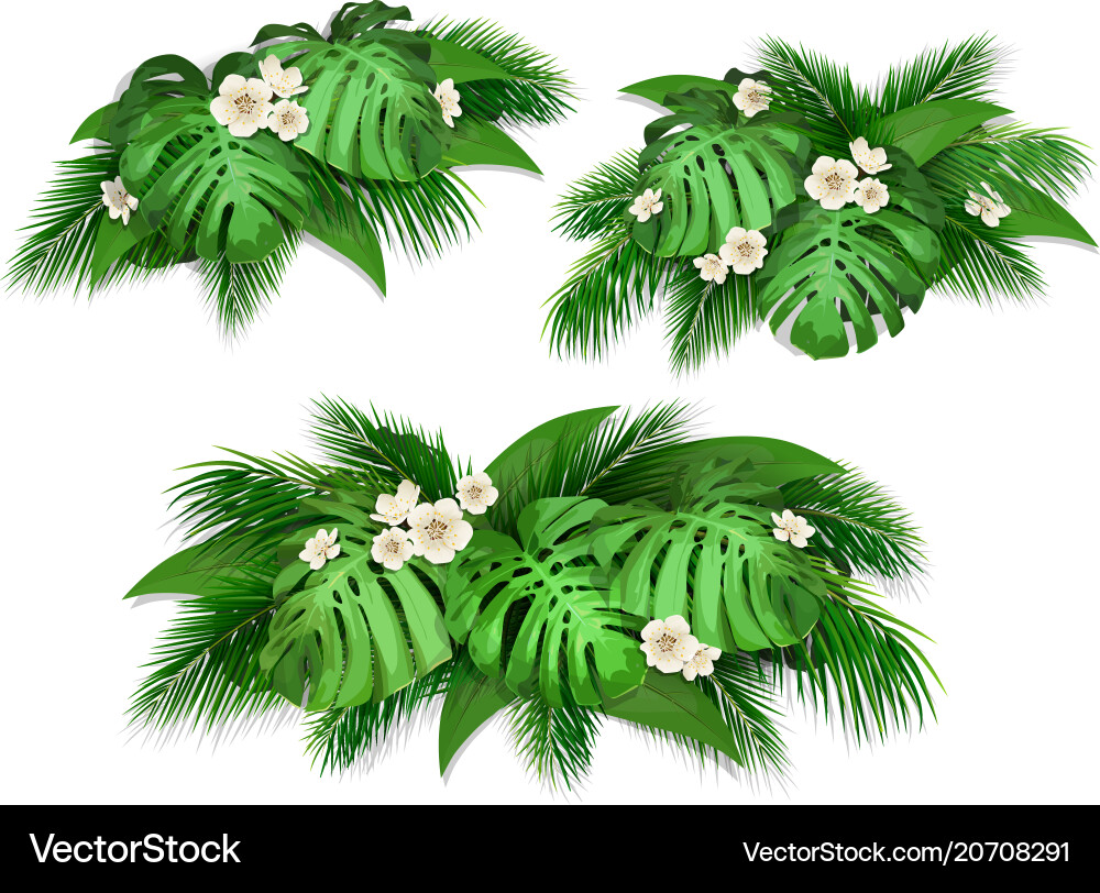 Summer composition with exotic leaves Summer composition with exotic leaves vector image