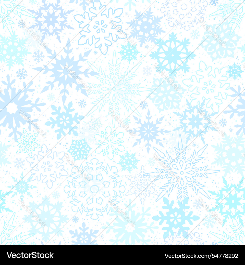 Winter Snowflake Pattern vector image
