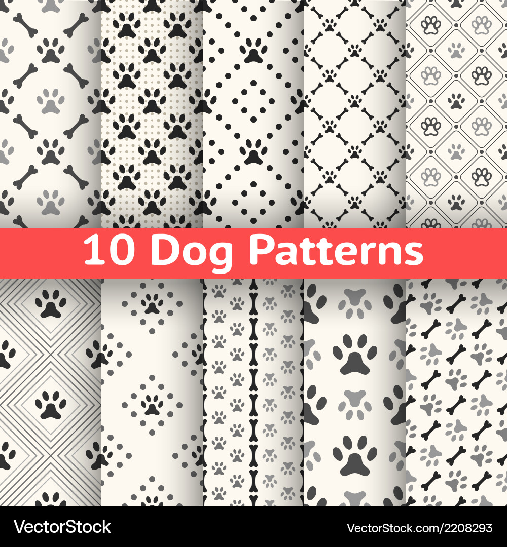 Paw Print Seamless Pattern vector image
