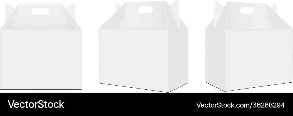 Carry boxes with handle front and side view vector image