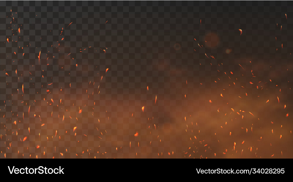 Fire sparks background Royalty Free Vector Image