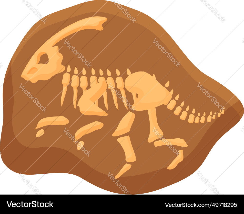 Sediment dinosaur fossil icon cartoon mud – Royalty-Free Vector |  VectorStock, image size:1000x880