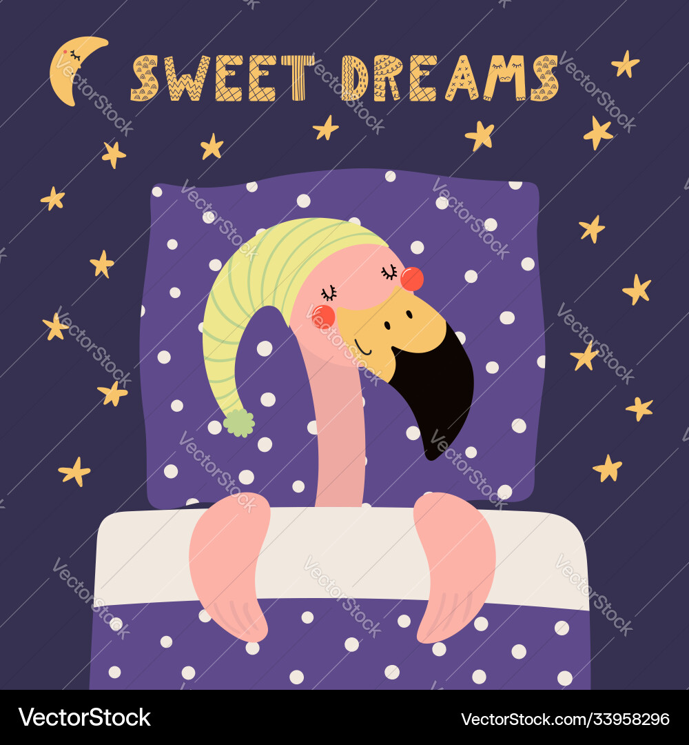 Cute sleeping flamingo Cute sleeping flamingo vector image
