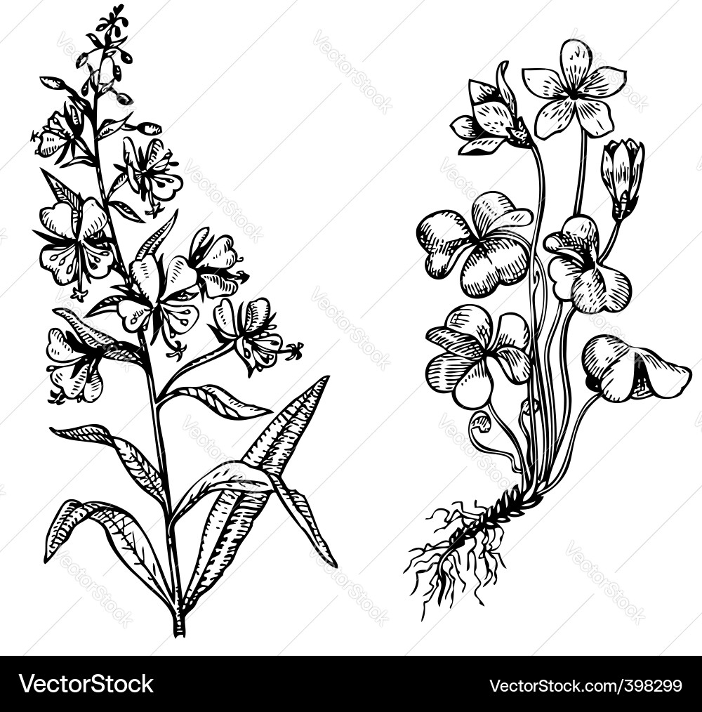 This image is a and can be scaled to any size Vector Image