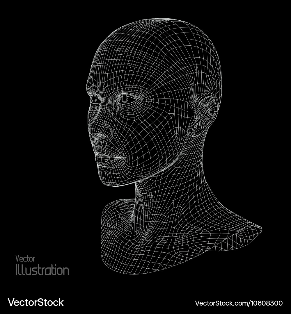 3D Human Head Wireframe - Polygon Model Royalty Free Vector
