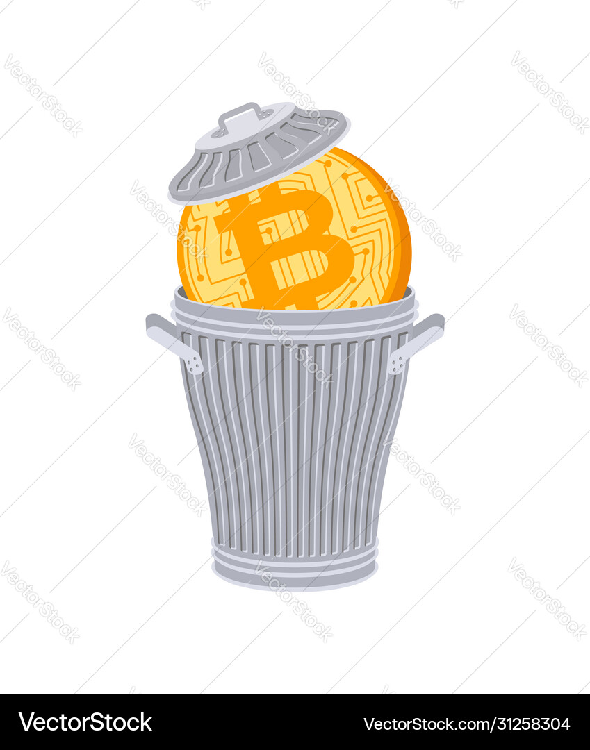 Bitcoin in trash can coin price fall – Royalty-Free Vector | VectorStock