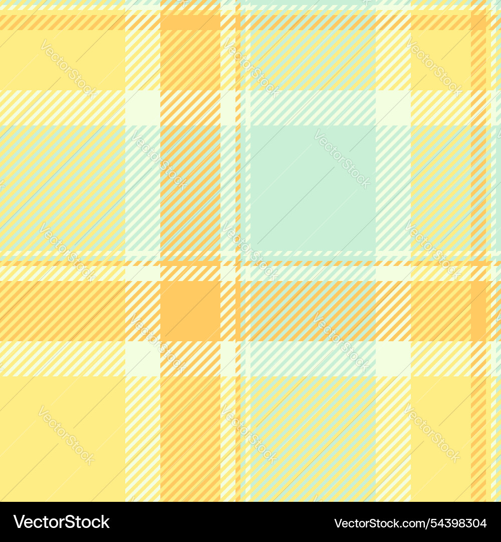 Complexity check fabric texture flow tartan Vector Image