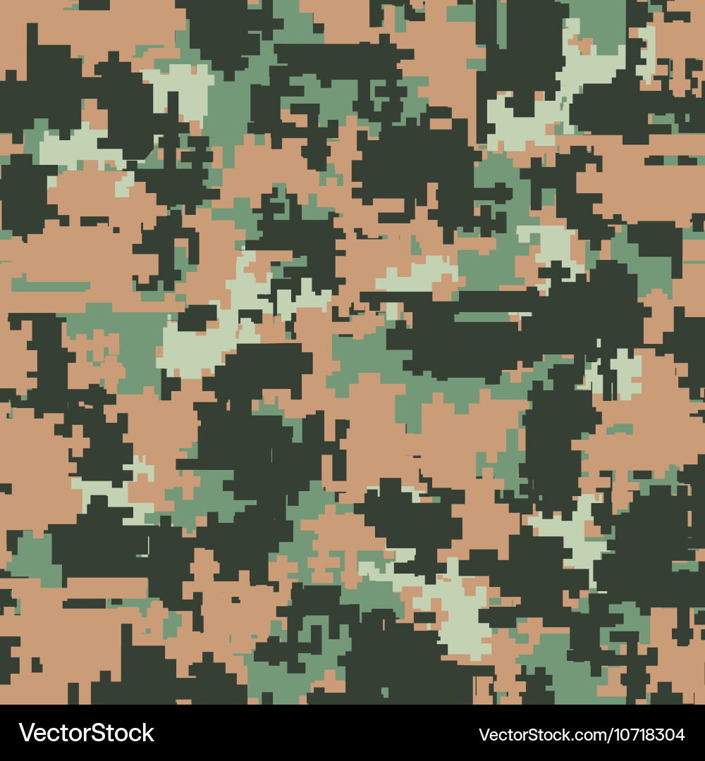 Digital Camo Pixel Pattern vector image