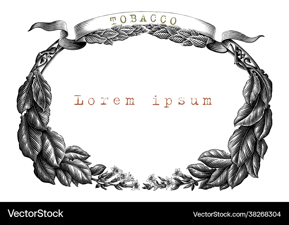 Tobacco frame hand draw vintage engraving style Tobacco frame hand draw vintage engraving style vector image