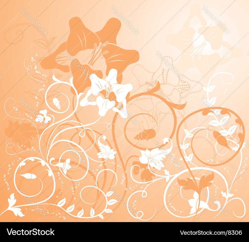 Background flower Vector Image