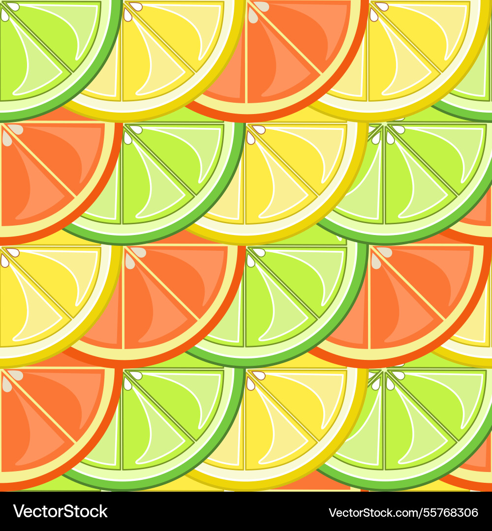 Citrus Slice Pattern Vector Image